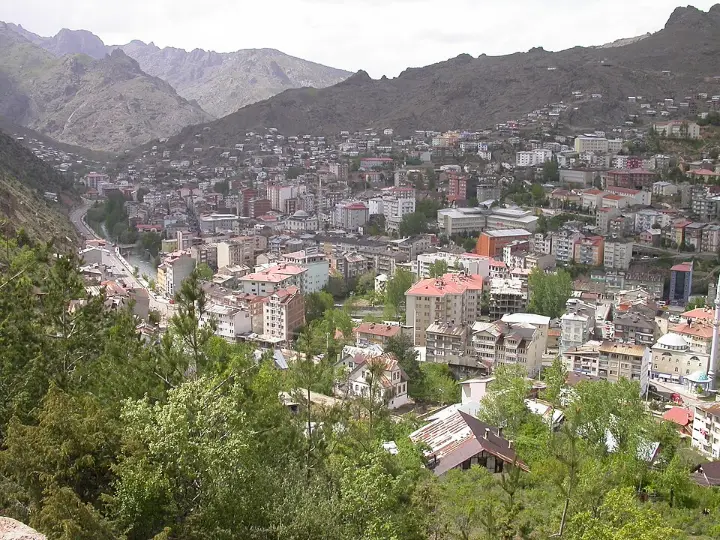 G&uuml;m&uuml;şhane