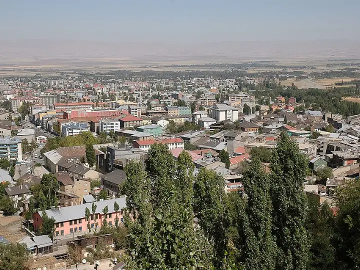 Muş